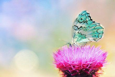 2018�����е�΢�ź�������侫տ���߶˴���ϙn��